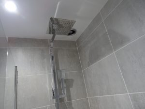 Fitted Bathroom with Tavistock Index Shower
