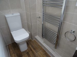 Tavistock Structure Toilet in ensuite shower room