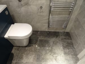 Mobility Shower Room Kenilworth with comfort height toilet pan